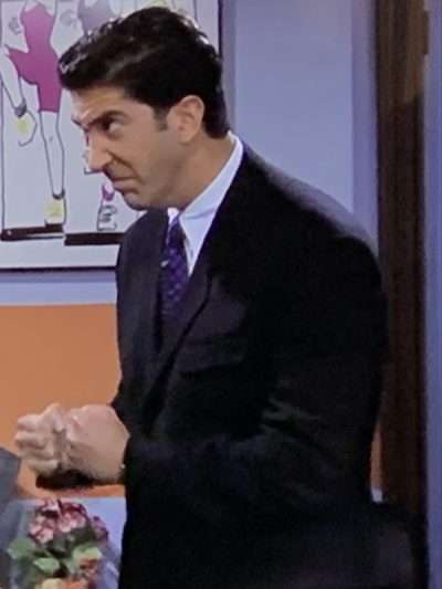 David Schwimmer Friends Dr. Ross Geller Suiting Blazer