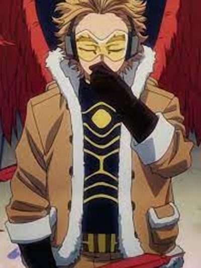 My Hero Academia Hawks Brown Cotton Jacket
