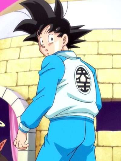 Goku Dragon Ball Z Blue Blue Tracksuit