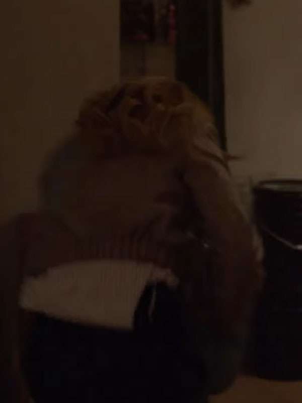 The Hunting Party 2026 Melissa Roxburgh Beige Jacket