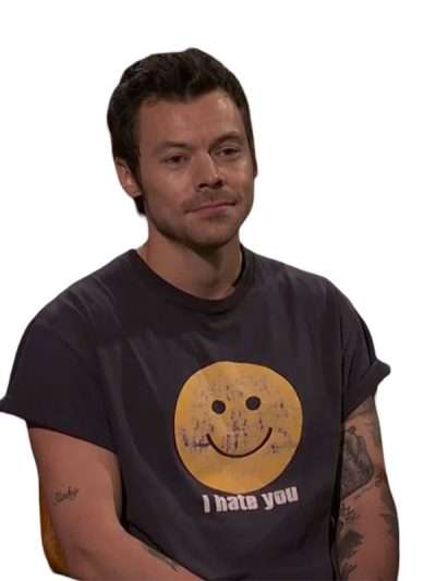 I Hate You Harry Styles T-Shirt
