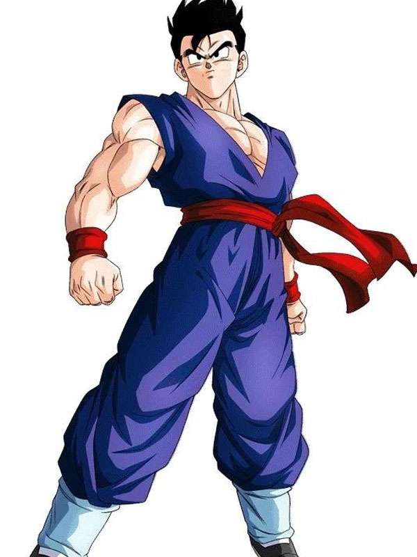 Adult Gohan Costume