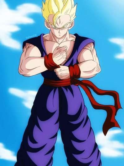 DBZ Gohan Anime Cosplay Costume